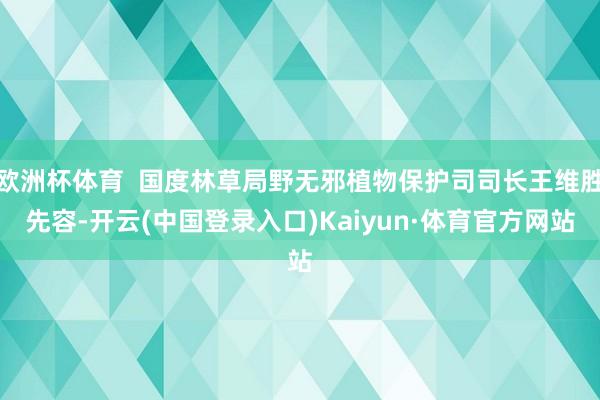 欧洲杯体育  国度林草局野无邪植物保护司司长王维胜先容-开云(中国登录入口)Kaiyun·体育官方网站