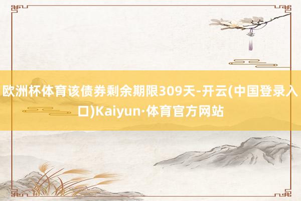 欧洲杯体育该债券剩余期限309天-开云(中国登录入口)Kaiyun·体育官方网站