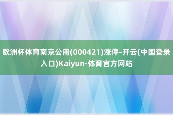 欧洲杯体育南京公用(000421)涨停-开云(中国登录入口)Kaiyun·体育官方网站